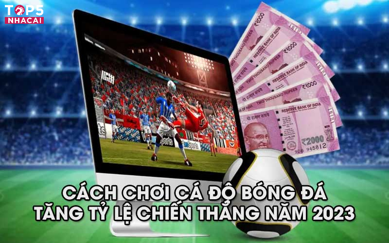 Cách Chơi Cá Độ Bóng Đá: Không Theo Đám Đông