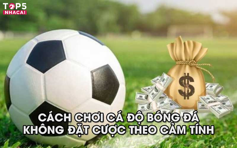 Cách Chơi Cá Độ Bóng Đá: Không Đặt Cược Theo Cảm Tính