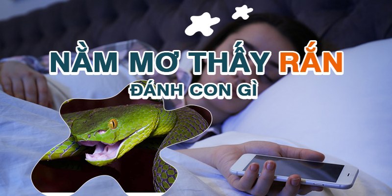 Mơ Thấy Rắn Đánh Con Gì? Gợi Ý Con Số Đẹp Đánh Bao Trúng 2 Giải mã giấc mơ thấy rắn theo góc nhìn từ chuyên gia