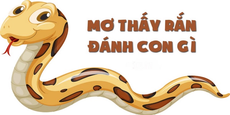 Mơ Thấy Rắn Đánh Con Gì? Gợi Ý Con Số Đẹp Đánh Bao Trúng 3 Nằm mơ thấy rắn đánh con gì trúng độc đắc?