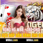 Rồng Hổ W88 – Trò Chơi Cổ Điển Cực Hấp Dẫn Dành Cho Game Thủ